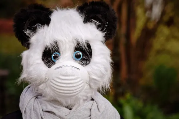 Thunderbolt Casino Stuðningur